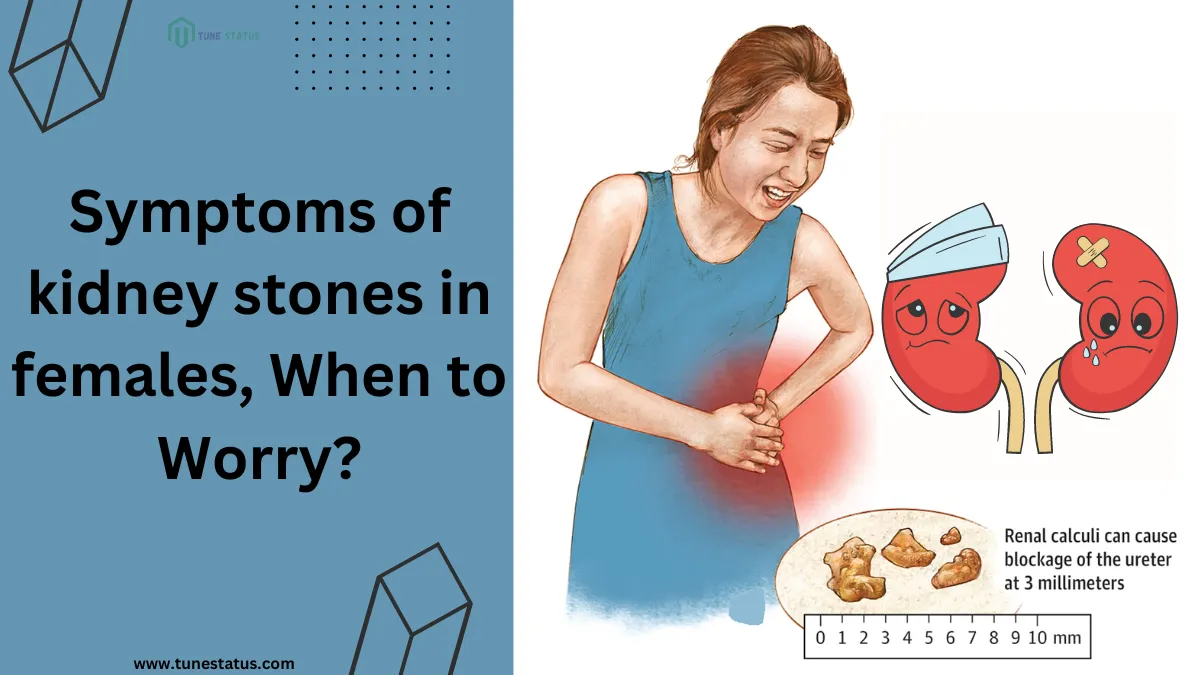 Symptoms of kidney stones in Females, When to Worry?